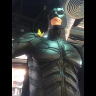 Día 220 - La grulla y su súper amigo Batman